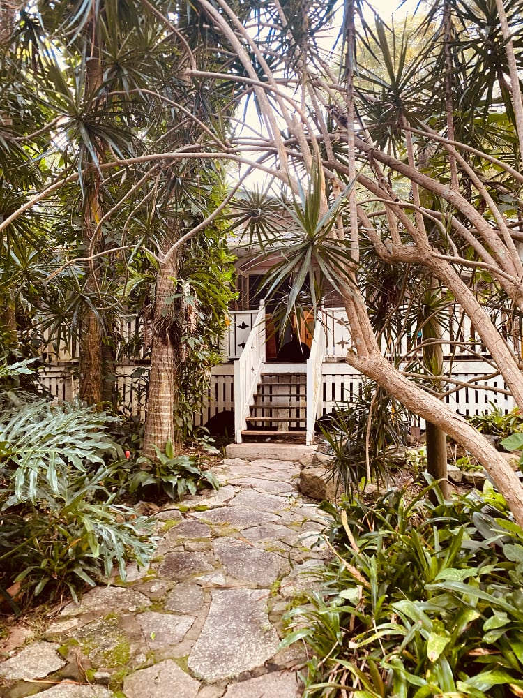 Moffatts of Billinudgel — tropical garden path to the house